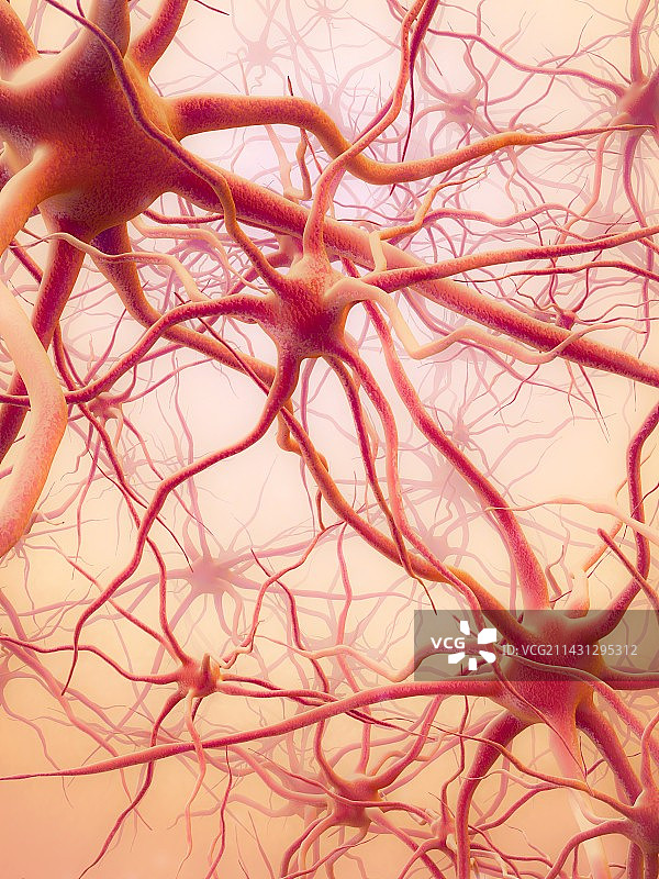 神经网络插画图片素材