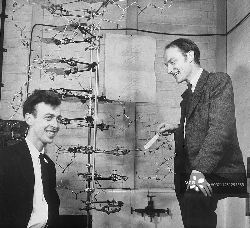 沃森和克里克与他们的DNA模型图片素材