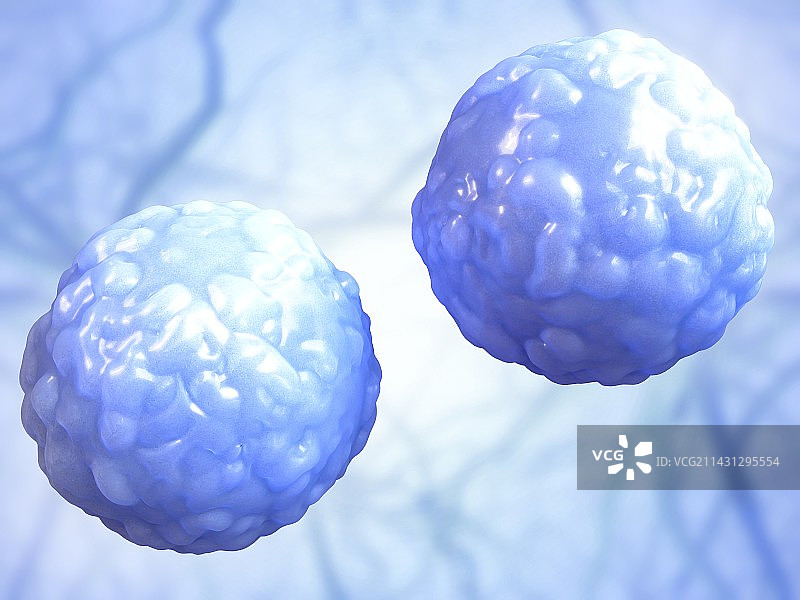 干细胞，图示图片素材