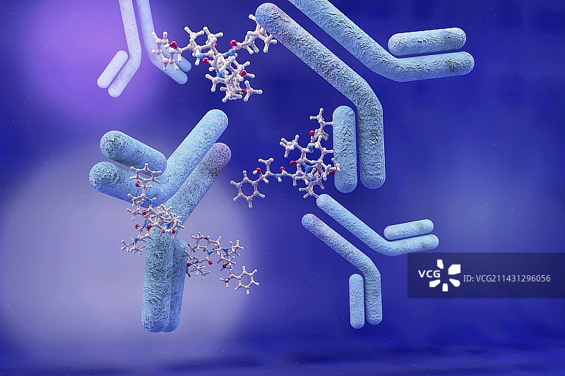 抗体药物偶联物示意图图片素材