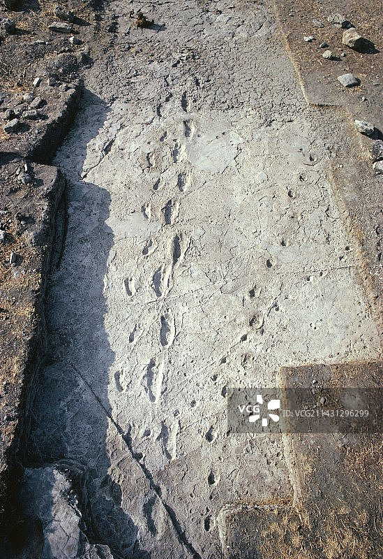 坦桑尼亚的原始人足迹图片素材