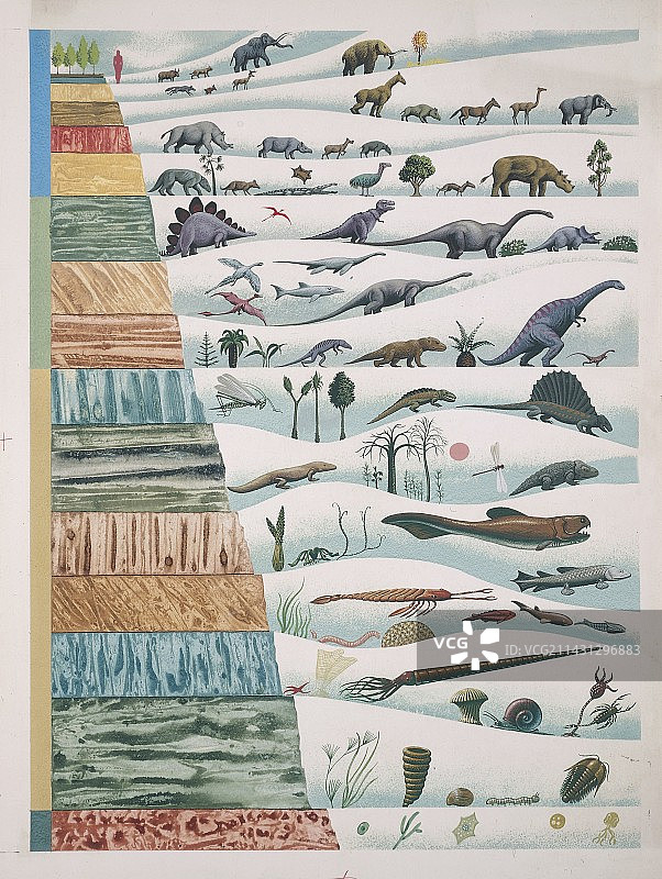 进化插画图片素材