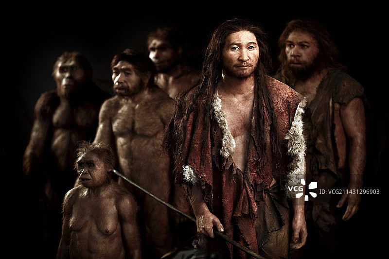 人类学模型，集体照图片素材