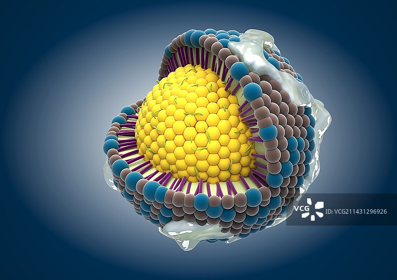 胆固醇脂蛋白艺术图图片素材