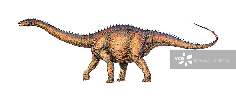 迷惑龙图片素材