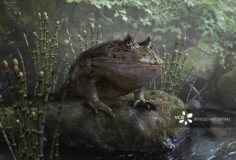 远古魔鬼蛙插画图片素材