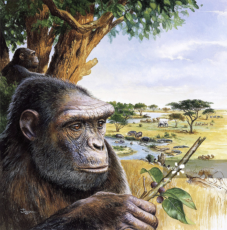 早期原始人图片素材