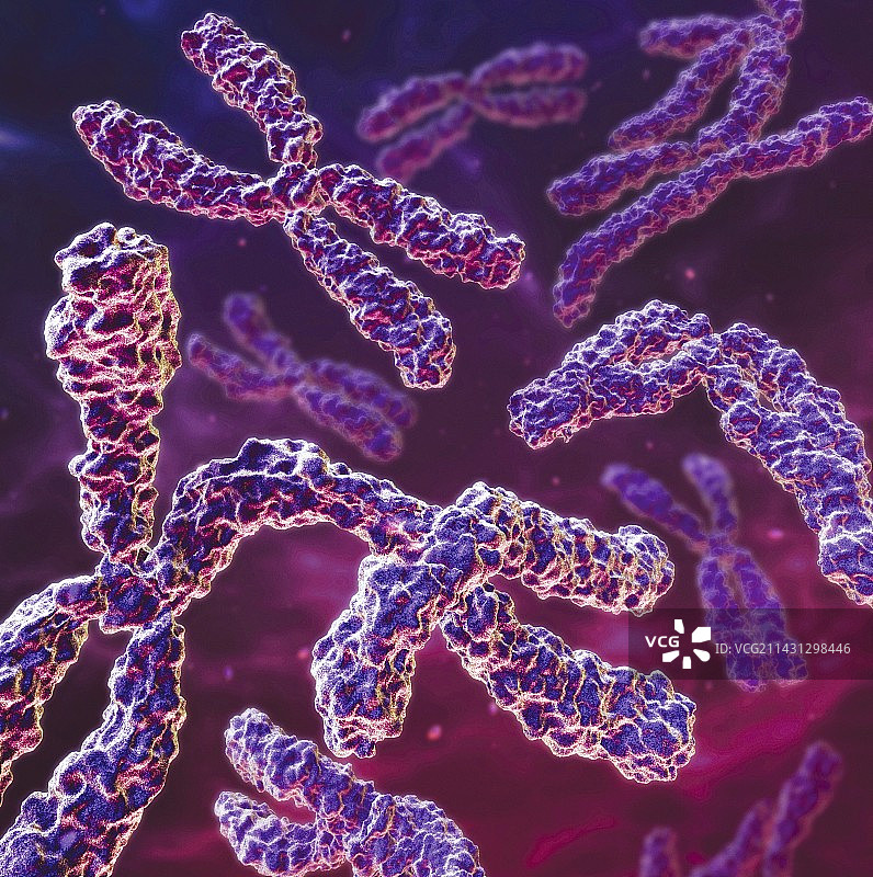 异常染色体图片素材