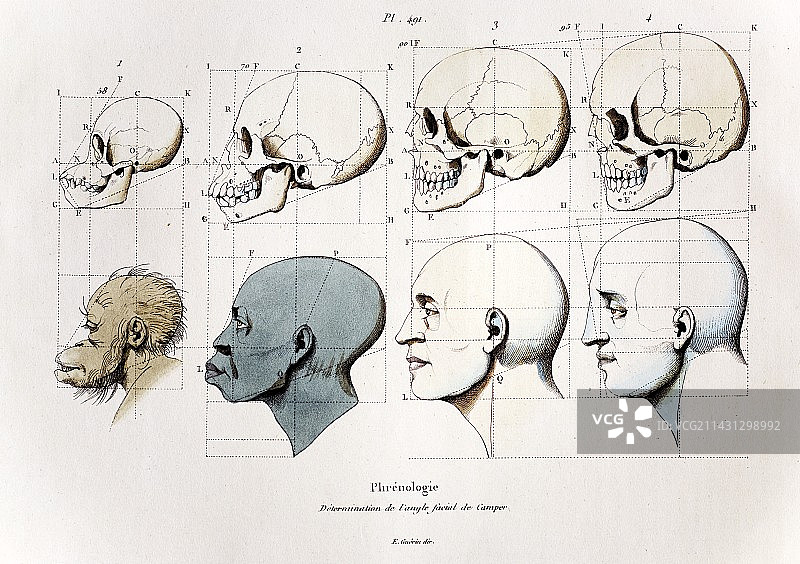 1760a Petrus Camper面部角度优生学图片素材