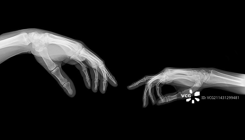 亚当的创造（米开朗基罗）图片素材