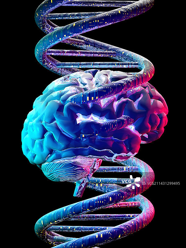 大脑与DNA图片素材