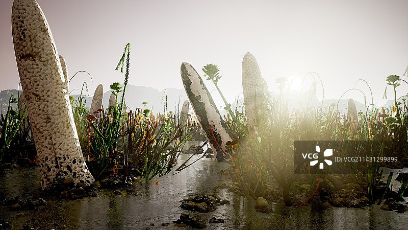 志留纪植物插图图片素材