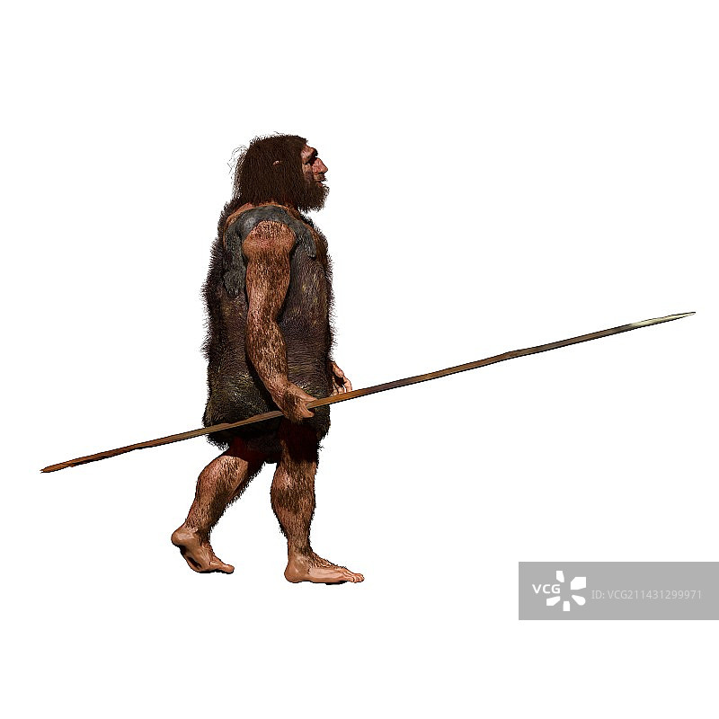尼安德特人猎人插画图片素材