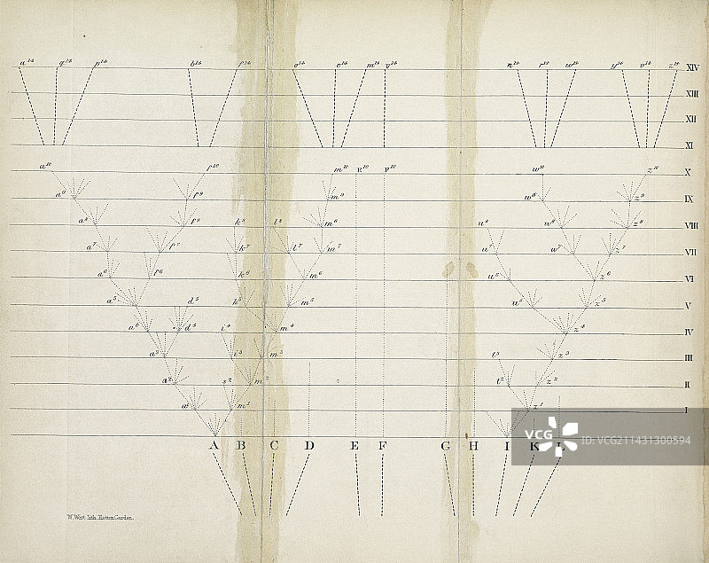 《物种起源》（1859年）图片素材