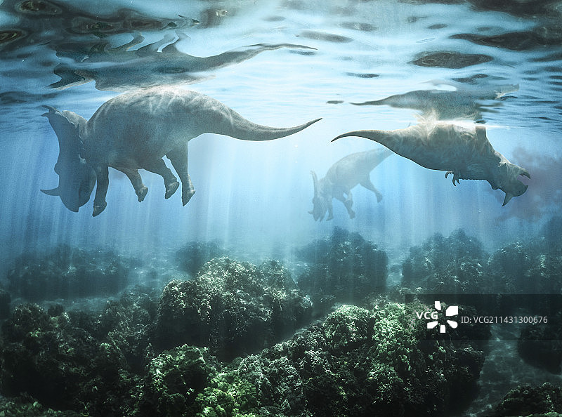 溺水的尖角龙恐龙，插图图片素材