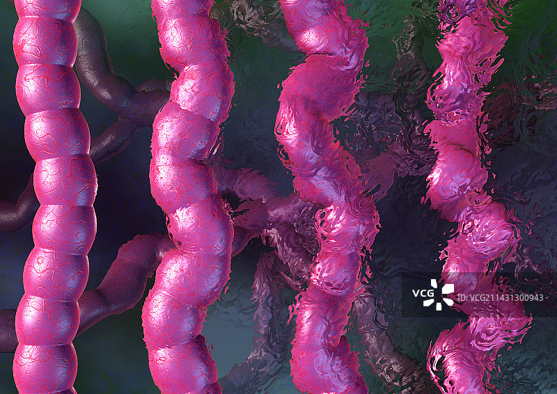 肠易激综合征图片素材