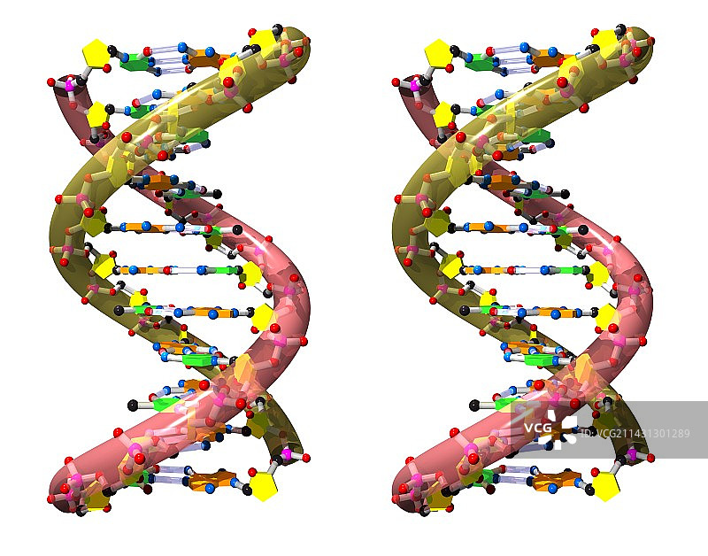 DNA分子图片素材