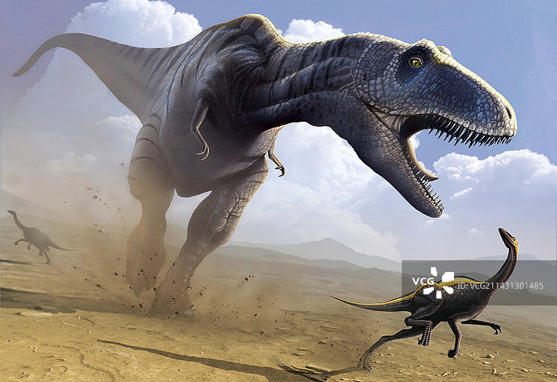 霸王龙狩猎图片素材