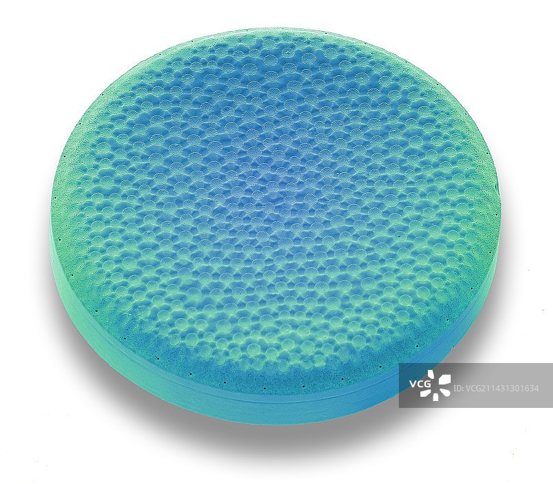 硅藻,扫描电镜图片素材