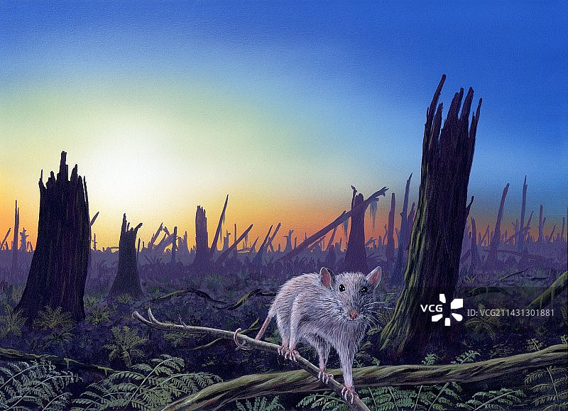 白垩纪-第三纪灭绝事件图片素材