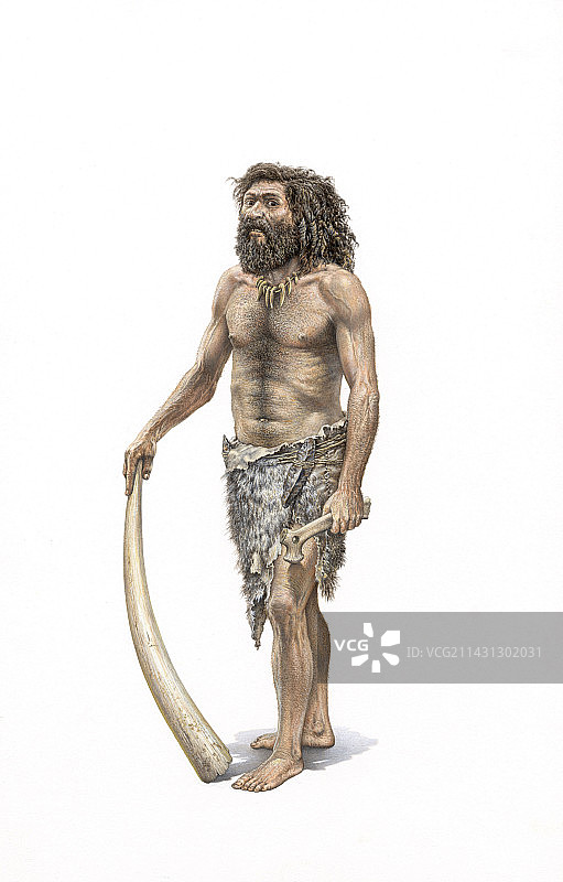 克罗马侬人图片素材