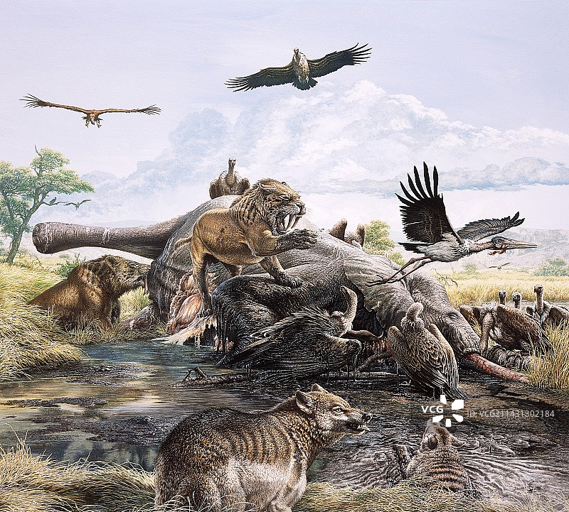 拉布雷亚沥青坑插画图片素材