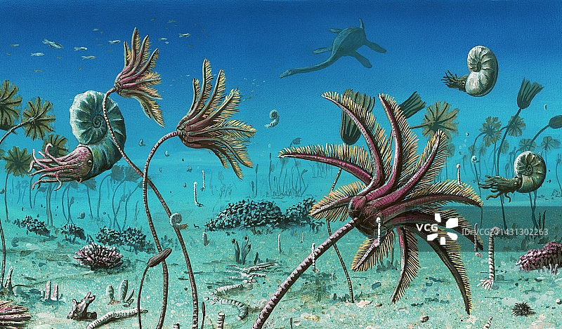 三叠纪水下场景插画图片素材