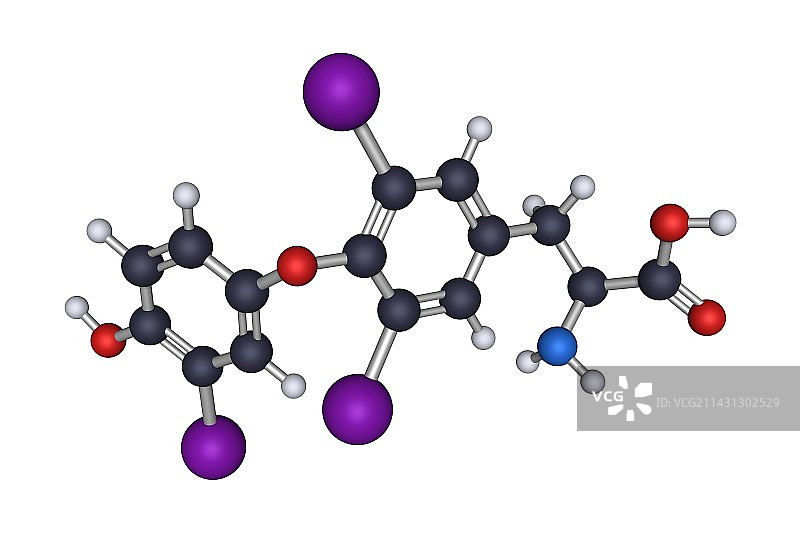 甲状腺激素T3分子模型图片素材