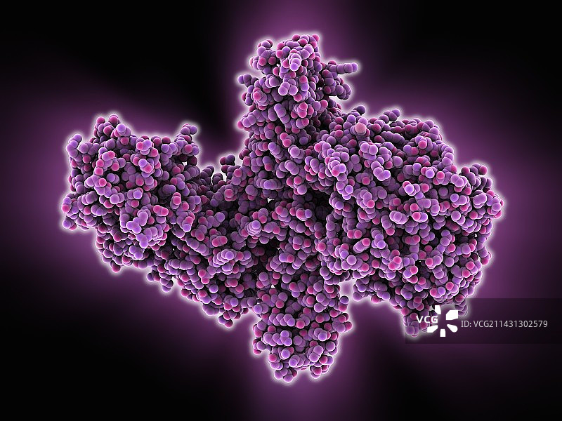 A型肉毒杆菌毒素分子模型图片素材