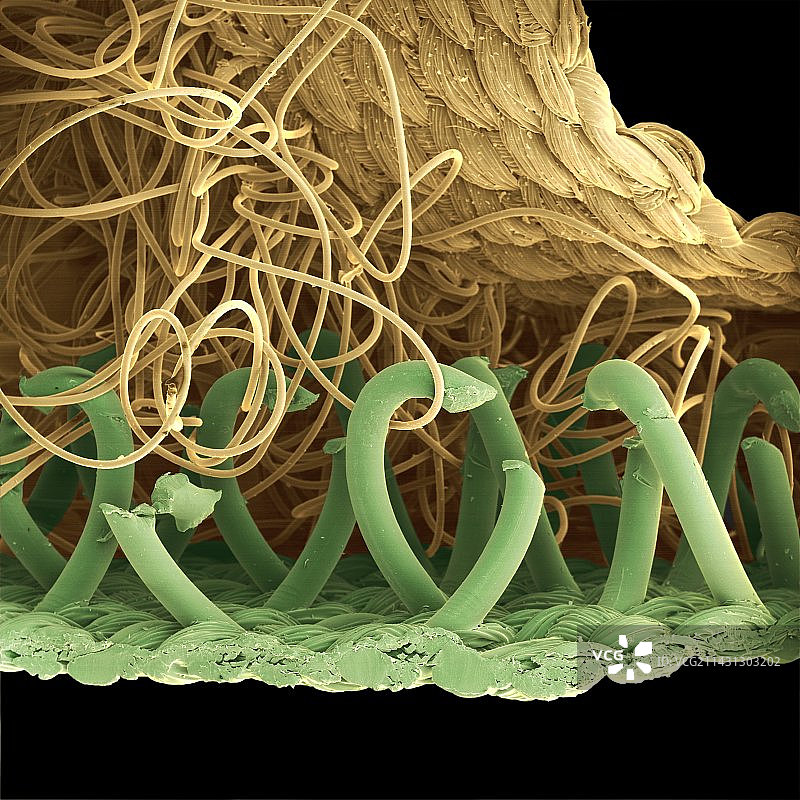 尼龙搭扣的扫描电镜图图片素材