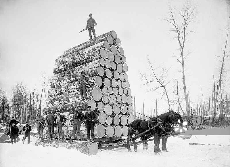 19世纪后期的木材采伐图片素材