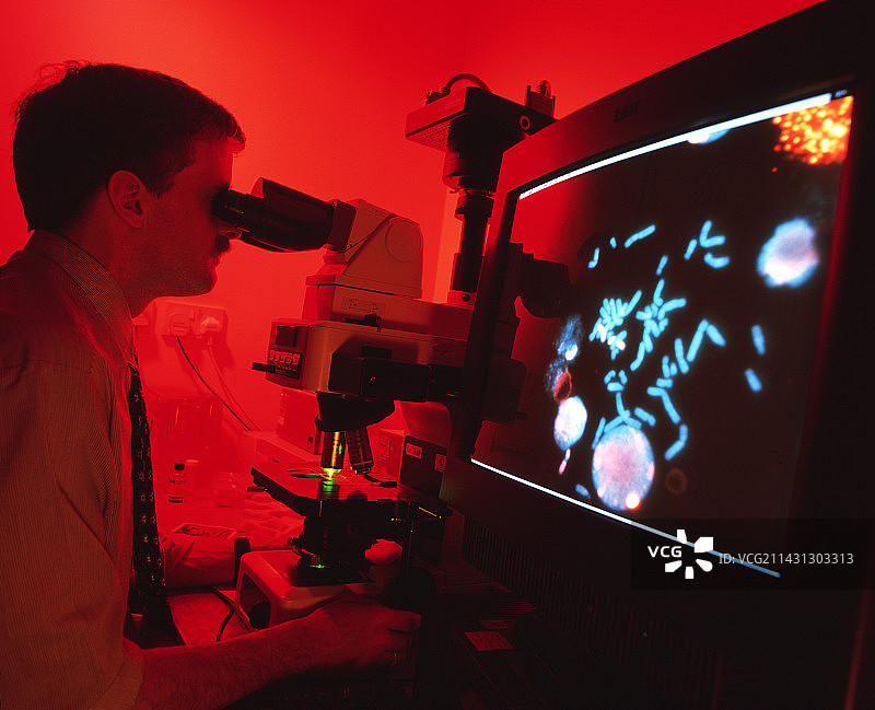 染色体分析图片素材