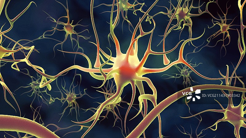 神经细胞图片素材