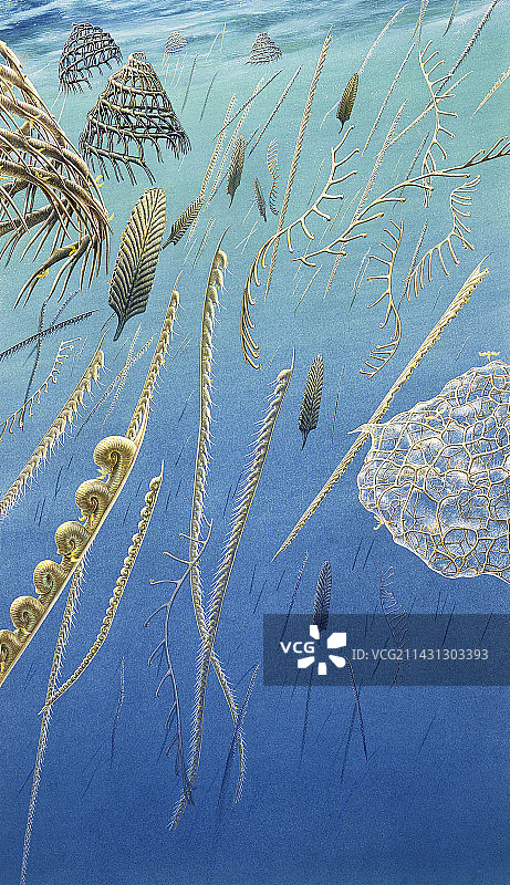 志留纪海洋中的笔石，插图图片素材