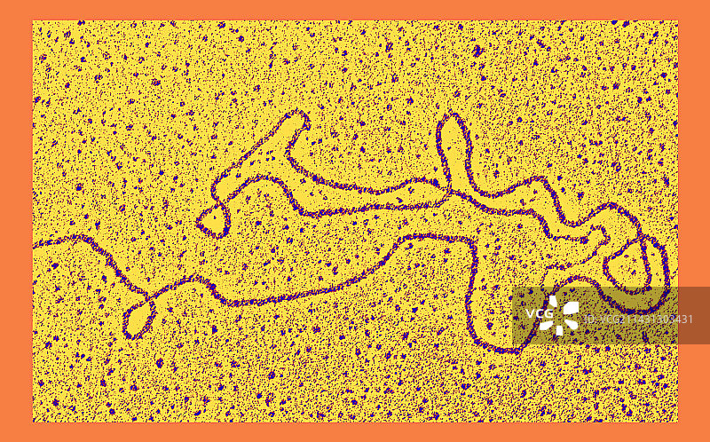 DNA链端粒透射电镜图图片素材