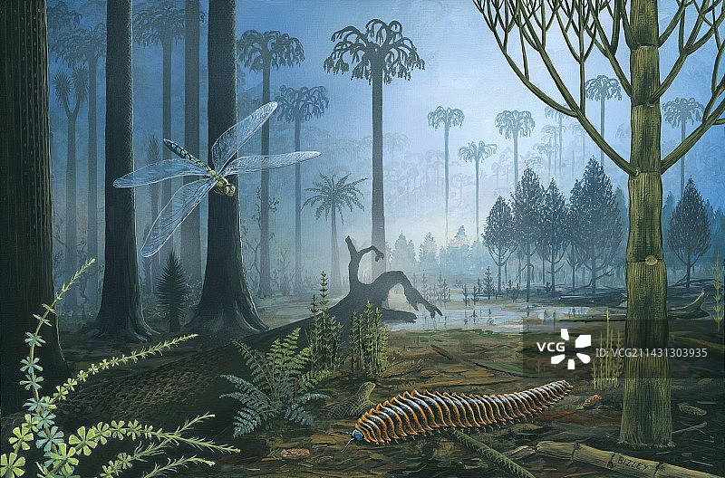石炭纪地貌插画图片素材
