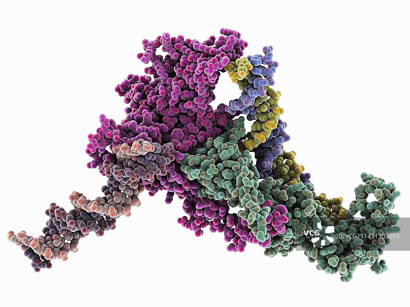 染色质重塑因子复合物图片素材