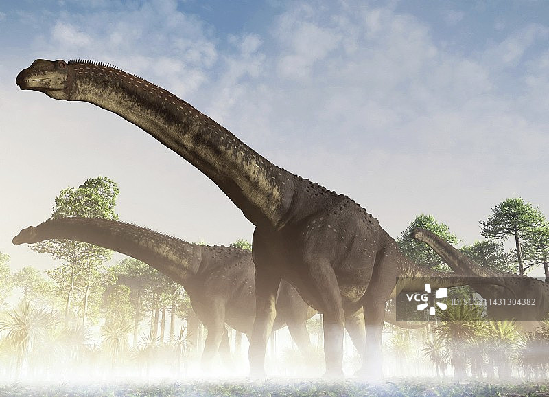 阿根廷龙恐龙群插画图片素材