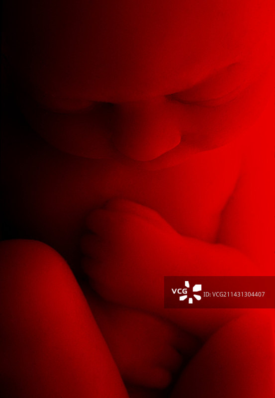 约9个月大的胎儿图片素材