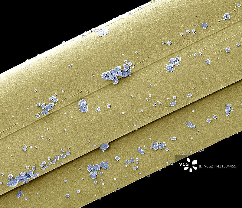 抗菌伤口敷料扫描电镜图图片素材