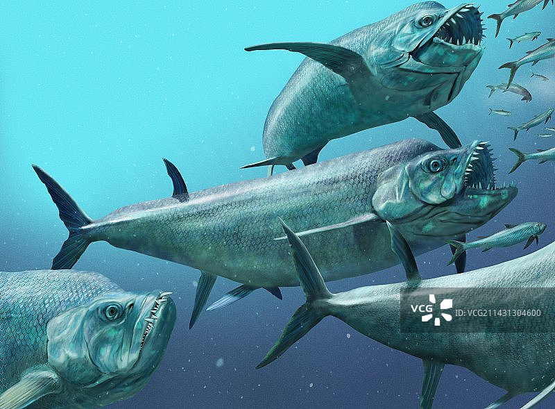 史前奇虾艺术作品图片素材