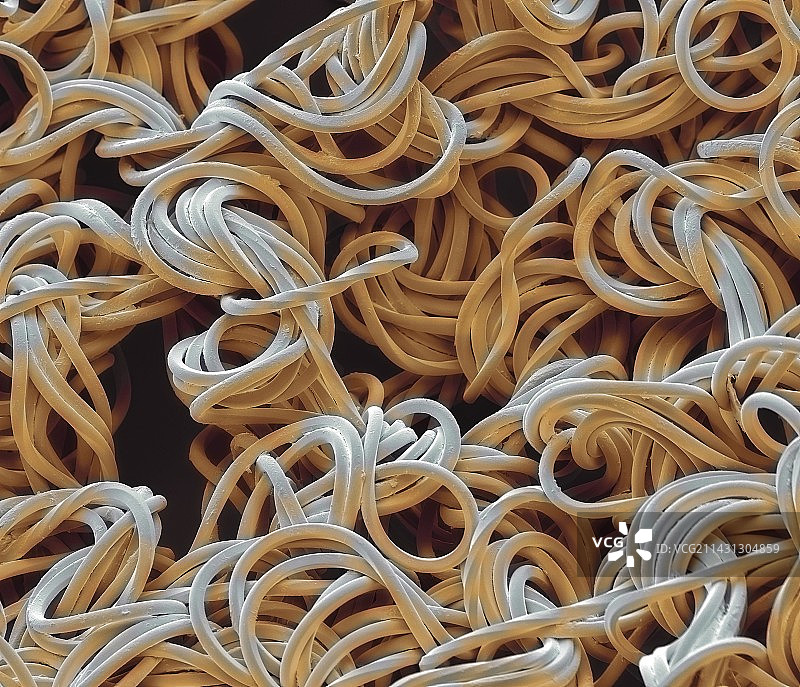 尼龙紧身裤纤维，扫描电子显微镜图片素材