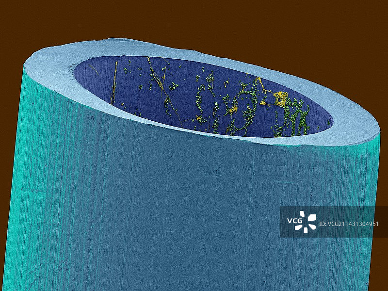 受污染的医用导管扫描电镜图图片素材