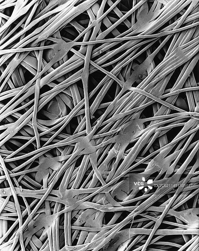 非织造尼龙土工布纤维的扫描电镜图图片素材