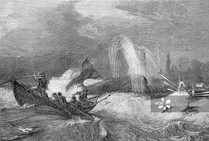 19世纪的捕鲸者捕鲸图片素材