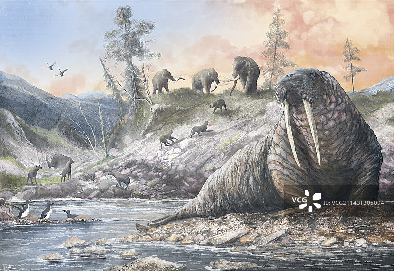 更新世动物群插图图片素材