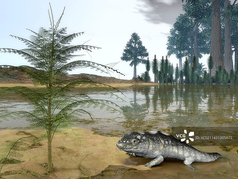 史前湿地生物艺术作品图片素材