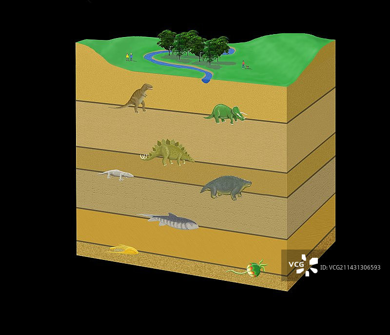 大规模物种灭绝事件图片素材