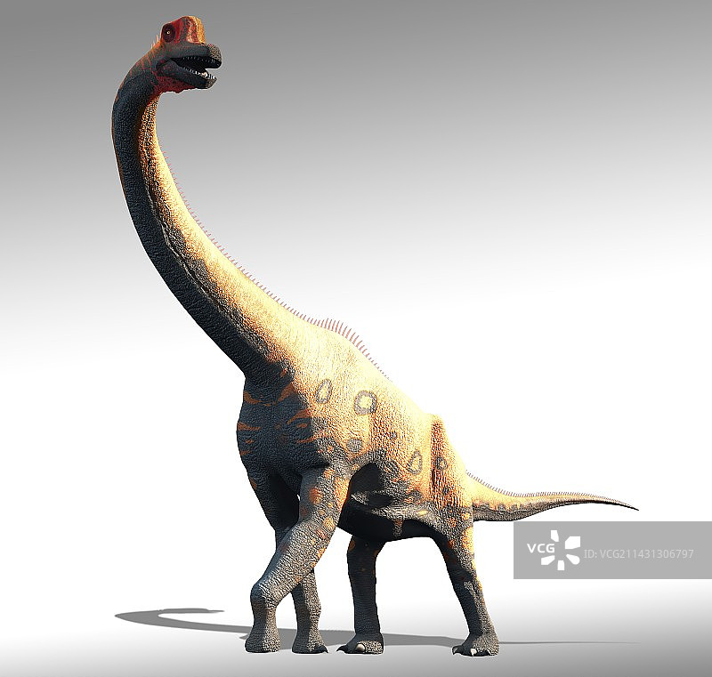 腕龙艺术作品图片素材