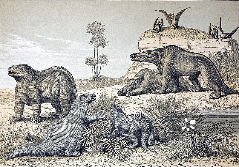 1862年的恐龙和翼龙图片素材